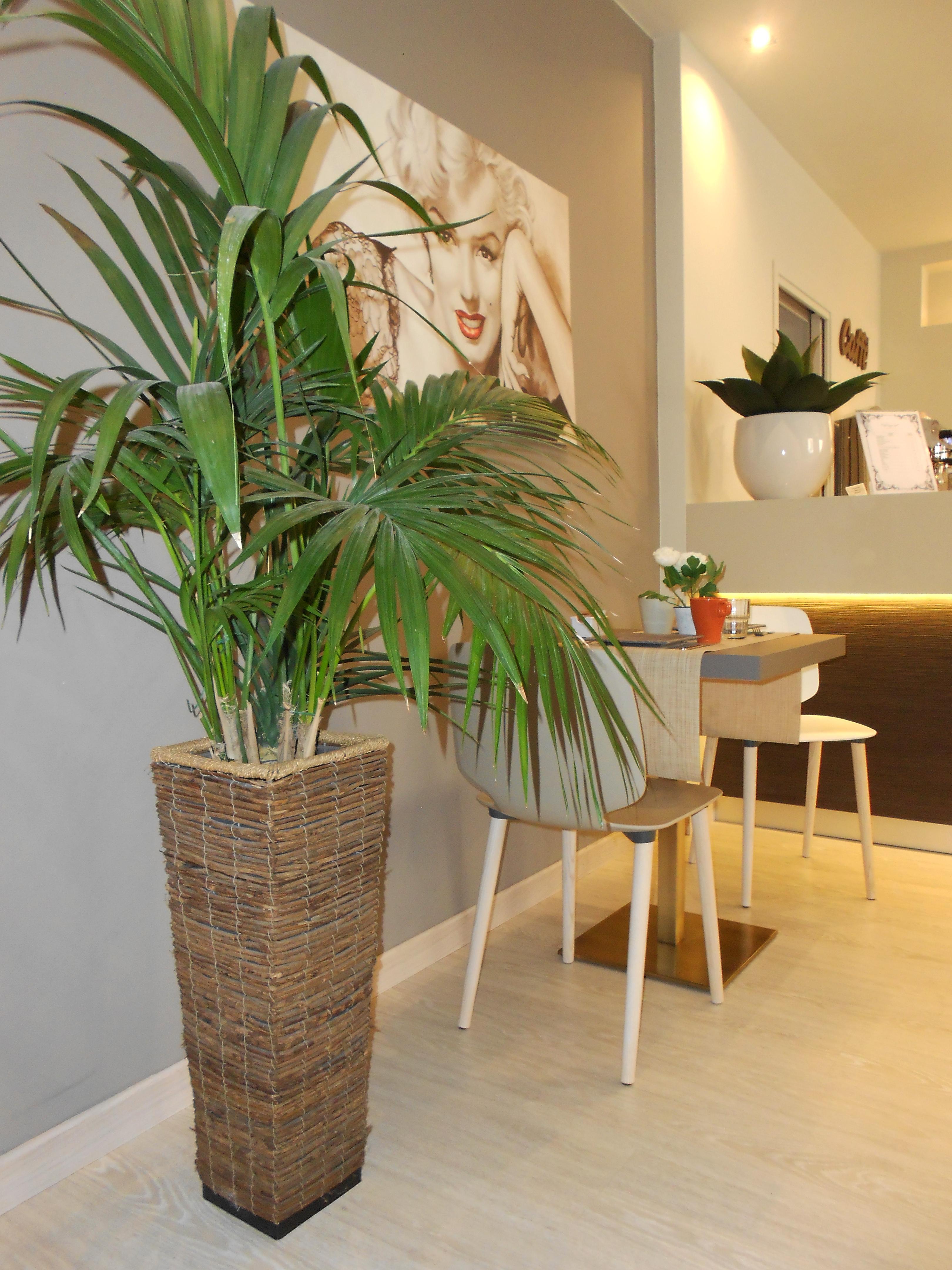 Hotel Ares Milano Eksteriør bilde